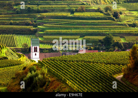 Dans l'église de vignes side by side, Bade-Wurtemberg, Allemagne Banque D'Images