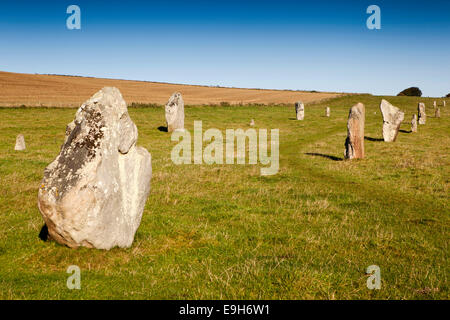 Royaume-uni, Angleterre, dans le Wiltshire, Avebury, West Kennet Avenue ligne de pierres Banque D'Images