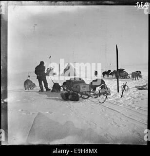 Cette image représente un camp de tentes avec des traîneaux, des chiens et d’autres équipements datant de 1911, probablement liés aux expéditions polaires de Roald Amundsen. L'image reflète la préparation et les conditions des expéditions arctiques du début du XXe siècle. Banque D'Images