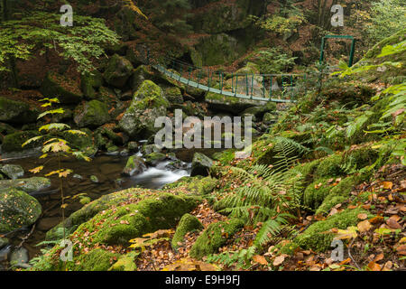 Buchberger Leite, une section de la rivière Wolfsteiner Ohe, Parc National de la forêt bavaroise, Ringelai, Bavière, Allemagne Banque D'Images