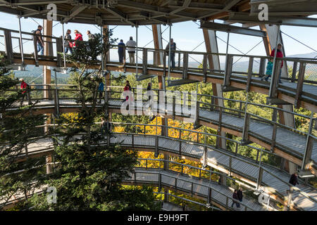 Tour de l'arbre, Tree Top Walk, le Parc National de la forêt bavaroise, Grafenau, Bavière, Allemagne Banque D'Images