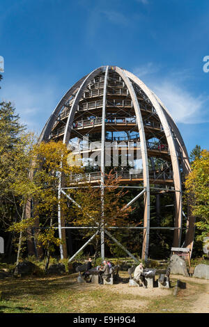 Tour de l'arbre, Tree Top Walk, le Parc National de la forêt bavaroise, Grafenau, Bavière, Allemagne Banque D'Images