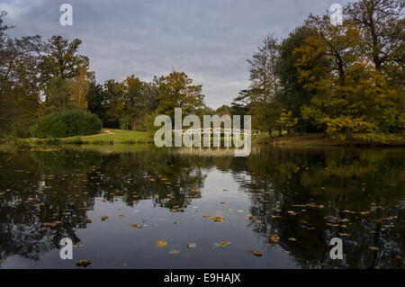 Painshill Park, Cobham en automne Banque D'Images