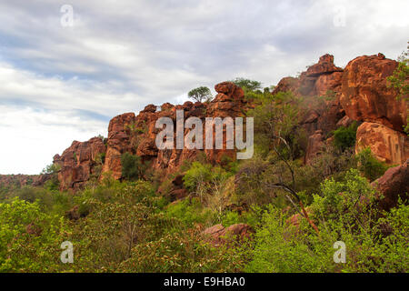 Le Waterberg Plateau, région Otjozondjupa, Namibie Banque D'Images