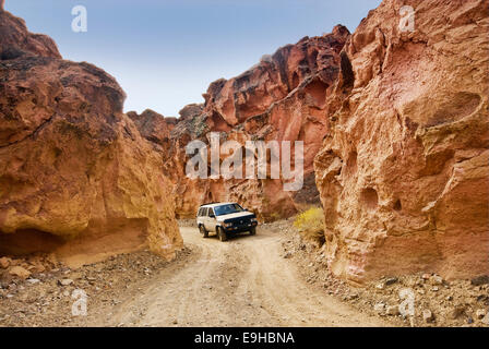 Road au Red Rock Canyon, désert de Mojave, au nord de l'évêque, California, USA Banque D'Images