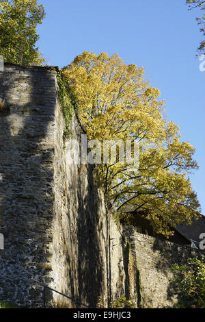 Château Hohenlimburg près de Hagen, Allemagne Banque D'Images