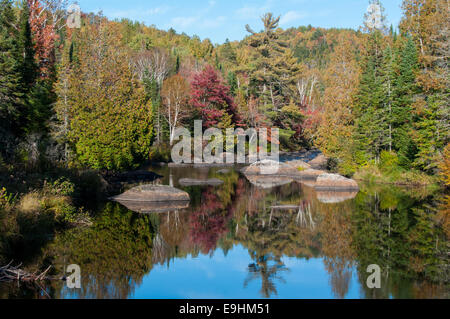 Automne Paysage Parc Doncaster Sainte-adèle laurentides Québec Banque D'Images