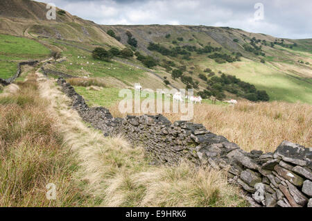 Carrières près de Chinley Katy Roy edge dans le Derbyshire. Un mur de pierre et sentier mène jusqu'au bord. Banque D'Images