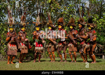 Huli Wigmen danse et tambour dans leurs coiffes en plumes d'oiseaux de paradis Banque D'Images