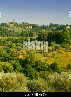 Florence est la ville principale de la Toscane avec une riche histoire& la culture comme exprimé dans son art, son architecture et les gens. Banque D'Images