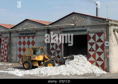 La Turquie, Adana, Pakmil d'usine d'égrenage, de transformation de coton conventionnel récolté, séparer des fibres et des fruits par machine Banque D'Images