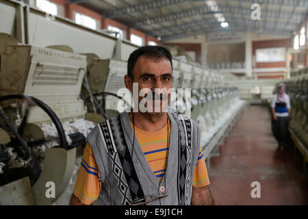 La Turquie, Adana, Pakmil d'usine d'égrenage, de transformation de coton conventionnel récolté, séparer des fibres et des fruits par machine Banque D'Images