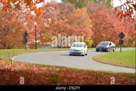 Washington, USA. 28 Oct, 2014. Une voiture passe devant feuillage d'automne à Washington, DC, la capitale des États-Unis, le 28 octobre, 2014. Credit : Yin Bogu/Xinhua/Alamy Live News Banque D'Images