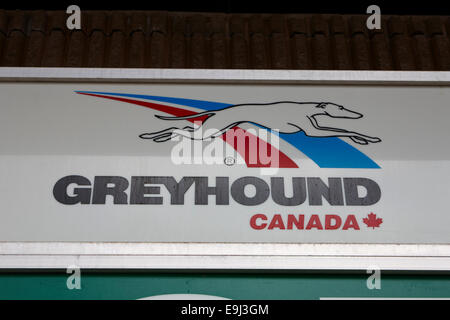 Inscrivez-vous à la gare des bus Greyhound Canada Banque D'Images