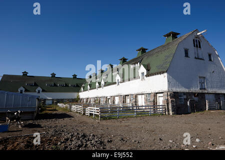 Grange de ferme traditionnel conçu par Brown et Vallance à l'université de la Saskatchewan, Canada Banque D'Images