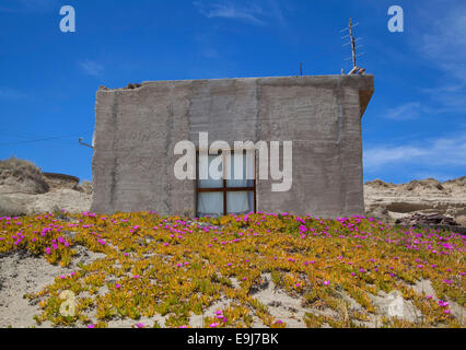 Petite maison avec des fleurs à Puerto Piramides. Péninsule Valdes, Chubut, Argentine. Banque D'Images