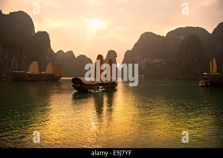 La baie d'Halong, Vietnam. Unesco World Heritage Site. Placez les plus populaires au Vietnam. Banque D'Images