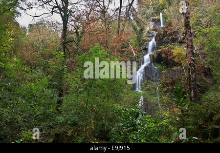 Canonteign Falls, Christow, Dartmoor National Park, South Devon, England, UK. Banque D'Images