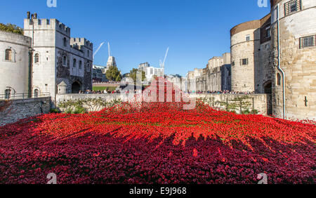 Les terres et les mers de sang ont balayé des coquelicots rouges - Tour de Londres UK Banque D'Images