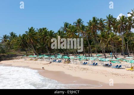 Dominikanische Republik, osten, juan dolio, Playa Caribe Banque D'Images