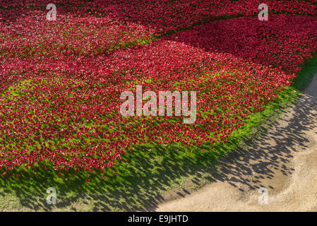 Londres, Royaume-Uni. 28 Oct, 2014. WW1 installation 'Blood a balayé les terres et les mers de Red' dans les douves de la Tour de Londres. Credit : Cabanel/Alamy Live News Banque D'Images