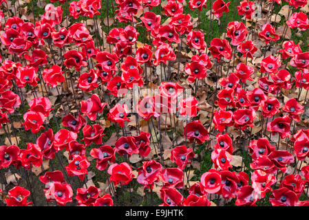 Londres, Royaume-Uni. 28 Oct, 2014. WW1 installation 'Blood a balayé les terres et les mers de Red' dans les douves de la Tour de Londres. Credit : Cabanel/Alamy Live News Banque D'Images