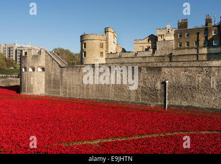 Londres, Royaume-Uni. 28 Oct, 2014. WW1 installation 'Blood a balayé les terres et les mers de Red' dans les douves de la Tour de Londres. Credit : Cabanel/Alamy Live News Banque D'Images