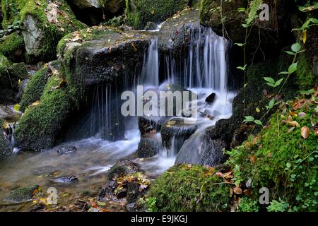 Gaishöll cascades, près de Sasbachwalden, Forêt-Noire, Bade-Wurtemberg, Allemagne Banque D'Images