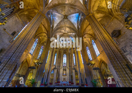 L'intérieur de la cathédrale de Santa Eulalia, aussi appelée La Seu ou simplement la cathédrale de Barcelone à Barcelone. Banque D'Images