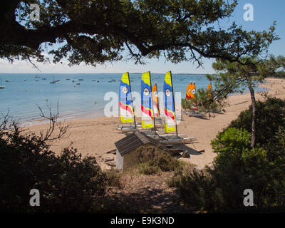 Petite catermarans avec voiles posées sur une plage encadrée entre les branches d'arbres plage des dames, Noirmoutier-en-l'Île Banque D'Images