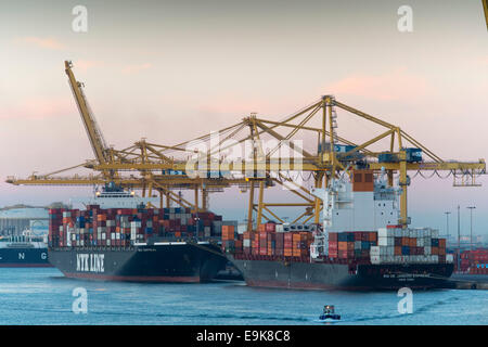 Grues jaunes se déplacer les contenants d'expédition au port principal de Barcelone - Port de Barcelone - au lever du soleil. Banque D'Images