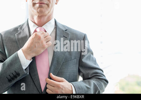 Portrait of businessman adjusting necktie Banque D'Images