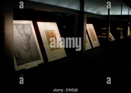 Turin, Italie. 28 octobre 2014. Dessins sur exposition dans la voûte de la Bibliothèque royale de Turin. Une exposition de dessins d'artistes anciens s'ouvre dans les voûtes de la Bibliothèque royale de Turin, en Italie. Banque D'Images