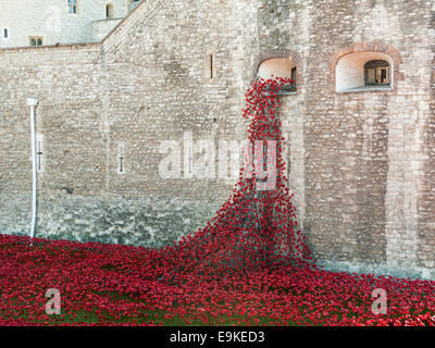 Coquelicots en céramique rouge à la Tour de Londres se souvient de l'exposition, les terres et les mers de sang ont balayé de rouge, par Paul Cummins Banque D'Images