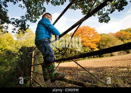 Automne couleur dans Michaelwood, Gloucestershire UK Banque D'Images