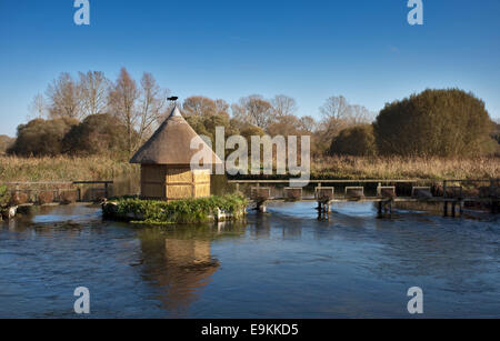 Test de la rivière à Longstock, Hampshire, Angleterre Banque D'Images