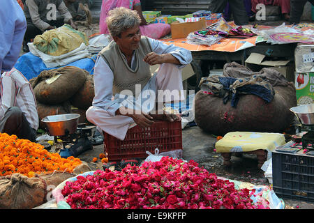 Bengale, fleur, fleurs, fleurs, Calcutta, coloré, coloré, du commerce, de la culture, Jour, Heure, jour, décoration, decorati Banque D'Images