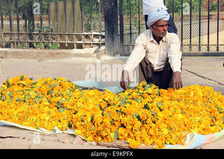 Bengale, fleur, fleurs, fleurs, Calcutta, coloré, coloré, du commerce, de la culture, Jour, Heure, jour, décoration, decorati Banque D'Images