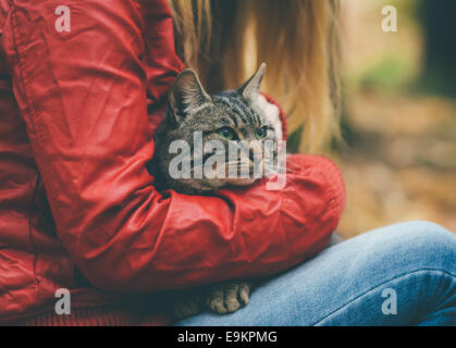 Chat gris et sans-abri Woman hugging de vie de plein air et de l'amitié aide concept Banque D'Images