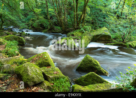 La rivière Fowey qui coule à travers la lande de Bodmin à Cornwall à quelques Banque D'Images