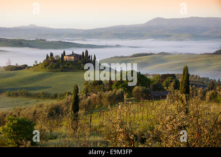 Gîte rural Le belvédère dans le Val d'Orcia avec brouillard tôt le matin, San Quirico d'Orcia, Toscane, Italie Banque D'Images