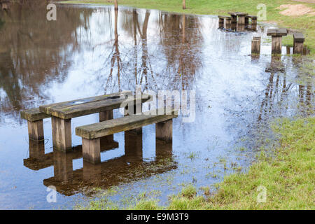 Des bancs et tables de pique-nique en bois sont partiellement submergé par les eaux de crue de la rivière Wey à Guildford, Surrey. Banque D'Images