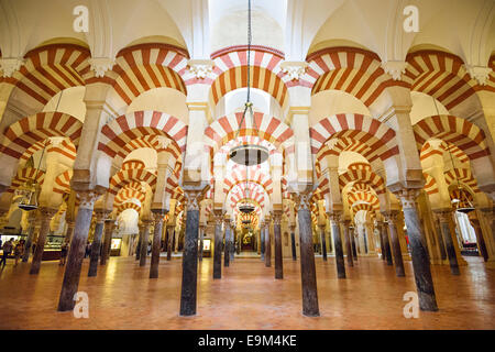 Cordoue, Espagne Mosque-Cathedral. Banque D'Images