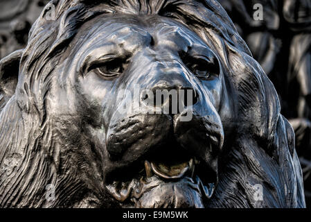 LONDRES, Royaume-Uni — L'une des quatre grandes statues de lion en bronze, connues sous le nom de Landseer Lions, à la base de la colonne Nelson à Trafalgar Square, au centre de Londres. Ces sculptures emblématiques, conçues par Sir Edwin Landseer, sont un élément important de cette place historique depuis leur installation en 1867. Banque D'Images