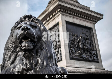 Landseer Lion Nelson's Column Trafalgar Square Londres // LONDRES, Royaume-Uni — L'une des quatre grandes statues de lion en bronze, connue sous le nom de Landseer Lions, garde la base de la colonne Nelson à Trafalgar Square, au centre de Londres. Ces sculptures emblématiques ont été conçues par Sir Edwin Landseer et coulées en bronze par le baron Marochetti. Installés en 1867 après près d'une décennie de travail, les lions sont devenus des symboles bien-aimés de Londres et des lieux de rassemblement populaires pour les visiteurs. Chaque lion pèse environ sept tonnes et est assis sur un piédestal de granit aux quatre coins de la colonne Nelson. Le monument commemora Banque D'Images