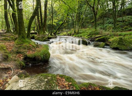 La rivière Fowey comme il coule à travers quelques-une vallée boisée raide sur Bodmin Moor en Cornouailles Banque D'Images