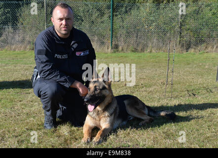 Brême, Allemagne. 14Th Oct, 2014. Chien de police Dino prend part à un exercice avec la police dog trainer Tobias (R) regarde sur à Brême, Allemagne, 14 octobre 2014. Dino est le plus ancien super sniffer en service auprès de la police de Brême et chasse les pyromanes, les criminels en fuite et les hooligans. Photo : CARMEN JASPERSEN/dpa/Alamy Live News Banque D'Images