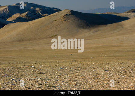 Les pentes des montagnes blanches, Inyo National Forest, Californie Banque D'Images