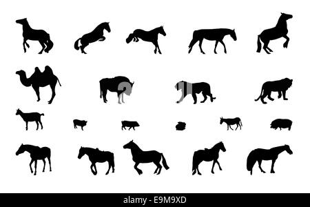 Silhouette d'animaux sauvages et domestiques. Noir et blanc. Vector Illustration. Banque D'Images