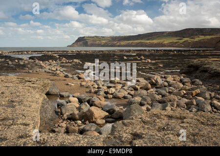 Royaume-uni, Angleterre, dans le Yorkshire, Robin Hood's Bay, vue sur des rochers à pic, à marée basse Banque D'Images